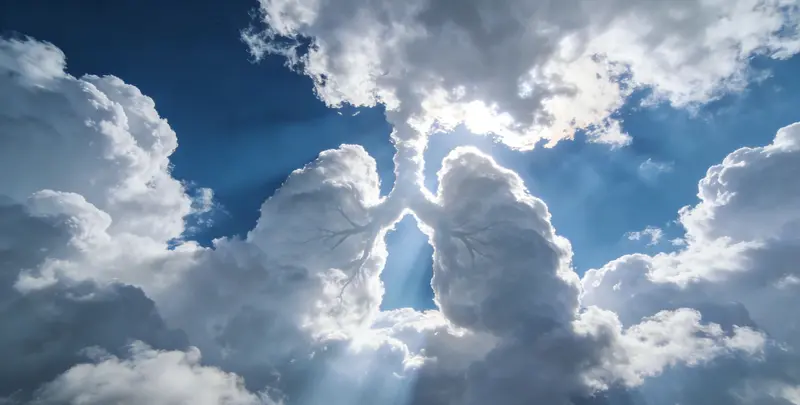 北京肺癌靶向39基因检测（组织）图片1